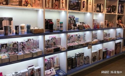 中國成人用品市場的迅猛發(fā)展與網(wǎng)店開設指南
