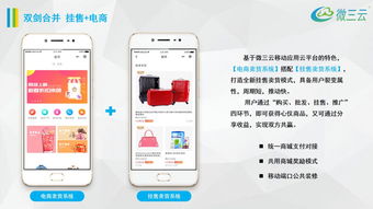 金拓掛售商城模式, 天王商城掛售模式,掛售模式app定制開發(fā),微三云麥超