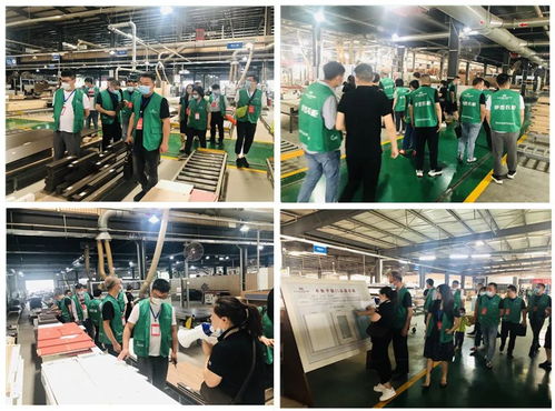 年中盛典，智造未來(lái) 619超級(jí)工廠(chǎng)購(gòu)暨財(cái)富品鑒會(huì)圓滿(mǎn)落幕，揭秘購(gòu)物商城定制新篇章